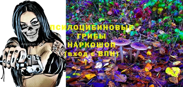кокс Корсаков