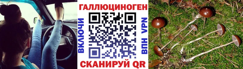 закладка  Новомосковск  Галлюциногенные грибы прущие грибы 