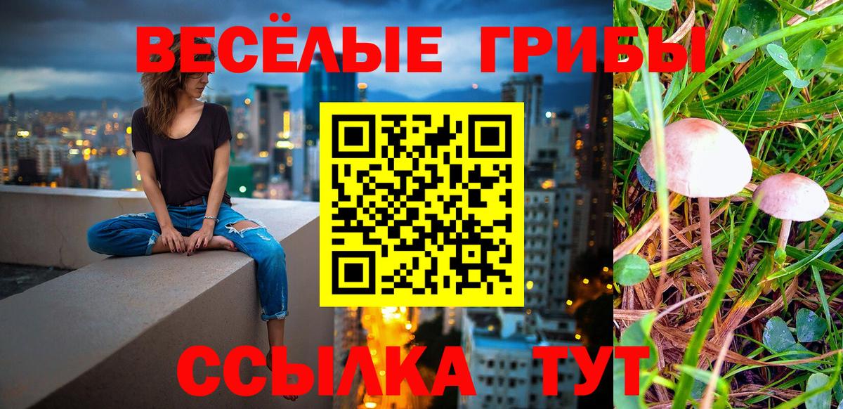 Новомосковск  Псилоцибиновые грибы MAGIC MUSHROOMS  Галлюциногенные грибы Magic Shrooms  Вход с VPN 