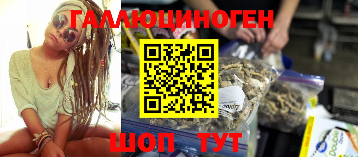 Галлюциногенные грибы Magic Shrooms Новомосковск