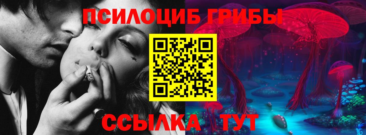 Псилоцибиновые грибы прущие грибы  Новомосковск 