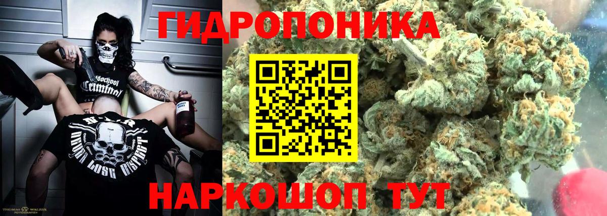Новомосковск  МАРИХУАНА планчик  Вход с VPN  МАРИХУАНА SATIVA & INDICA 