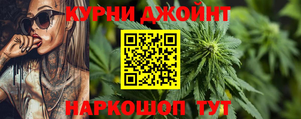 Канабис планчик Новомосковск
