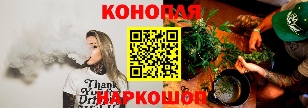 Шишки марихуана планчик  Конопля тримм  Новомосковск  Бошки Шишки планчик  Шишки марихуана планчик 